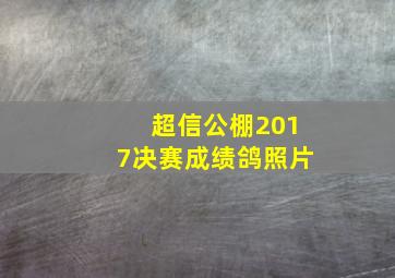 超信公棚2017决赛成绩鸽照片