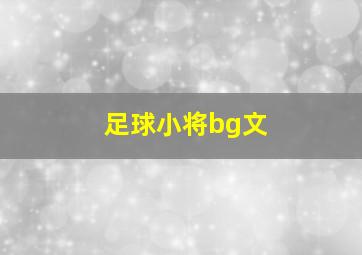 足球小将bg文