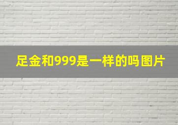 足金和999是一样的吗图片