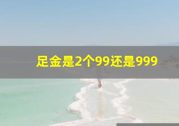 足金是2个99还是999