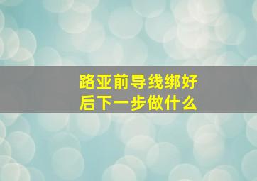 路亚前导线绑好后下一步做什么