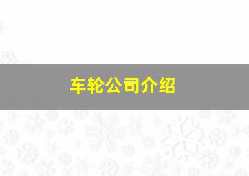 车轮公司介绍