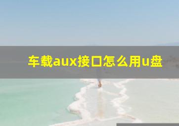 车载aux接口怎么用u盘