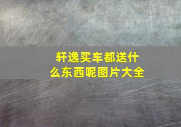 轩逸买车都送什么东西呢图片大全