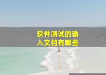 软件测试的输入文档有哪些