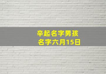 辛起名字男孩名字六月15日