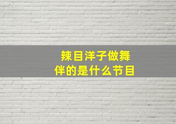 辣目洋子做舞伴的是什么节目