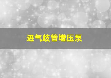 进气歧管增压泵