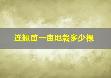 连翘苗一亩地栽多少棵