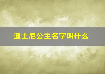 迪士尼公主名字叫什么