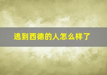 逃到西德的人怎么样了