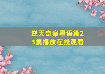 逆天奇案粤语第23集播放在线观看