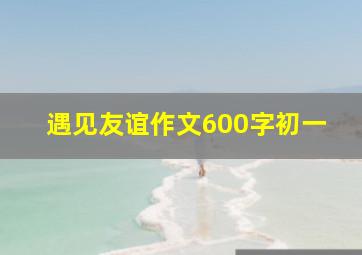 遇见友谊作文600字初一