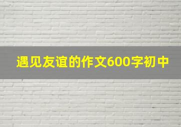 遇见友谊的作文600字初中