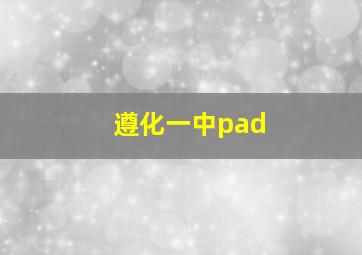 遵化一中pad