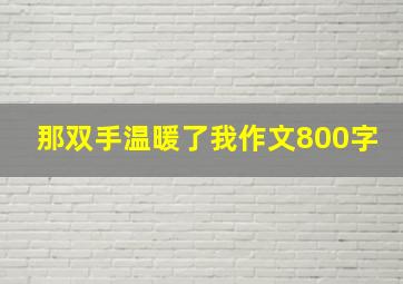 那双手温暖了我作文800字