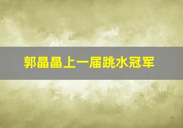 郭晶晶上一届跳水冠军