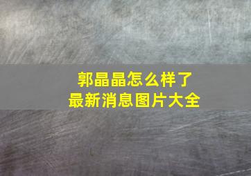 郭晶晶怎么样了最新消息图片大全