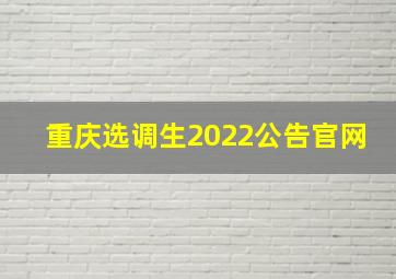 重庆选调生2022公告官网