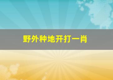 野外种地开打一肖