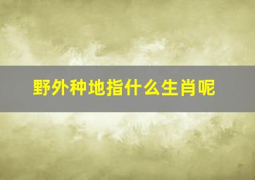 野外种地指什么生肖呢