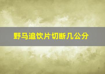 野马追饮片切断几公分