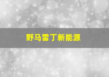 野马雷丁新能源