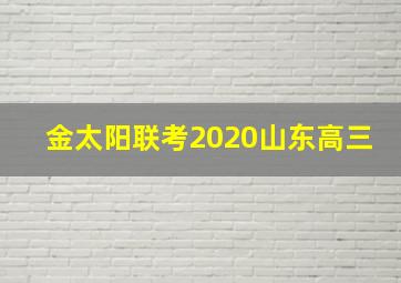 金太阳联考2020山东高三