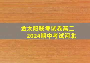 金太阳联考试卷高二2024期中考试河北