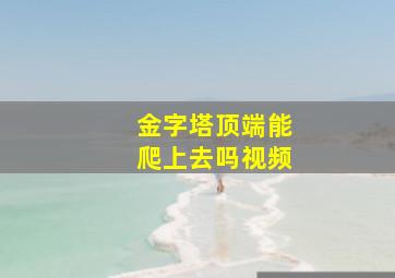 金字塔顶端能爬上去吗视频