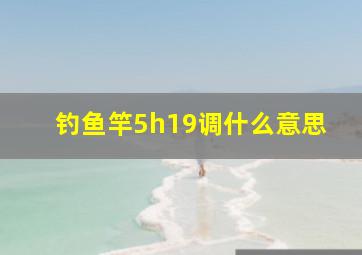 钓鱼竿5h19调什么意思