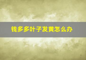 钱多多叶子发黄怎么办