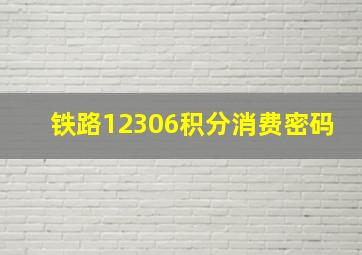 铁路12306积分消费密码