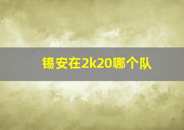 锡安在2k20哪个队