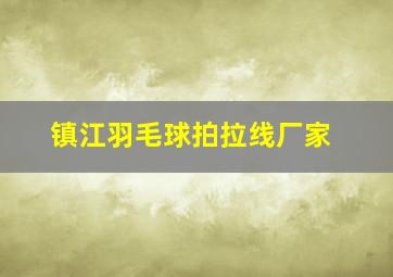 镇江羽毛球拍拉线厂家