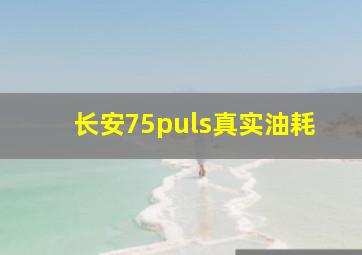 长安75puls真实油耗