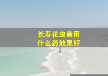 长寿花虫害用什么药效果好