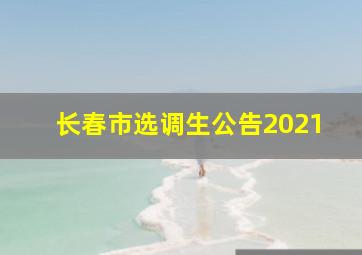 长春市选调生公告2021