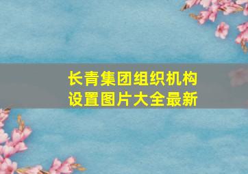 长青集团组织机构设置图片大全最新