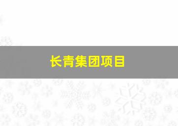 长青集团项目