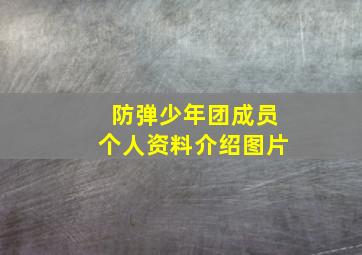 防弹少年团成员个人资料介绍图片