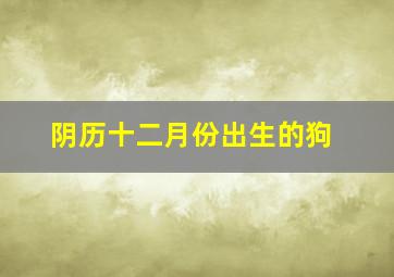 阴历十二月份出生的狗