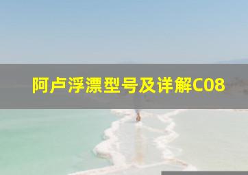 阿卢浮漂型号及详解C08