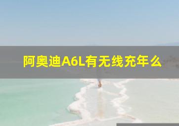 阿奥迪A6L有无线充年么