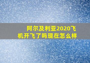 阿尔及利亚2020飞机开飞了吗现在怎么样