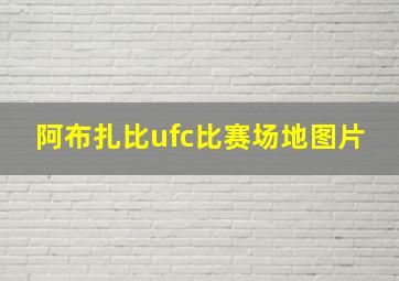 阿布扎比ufc比赛场地图片