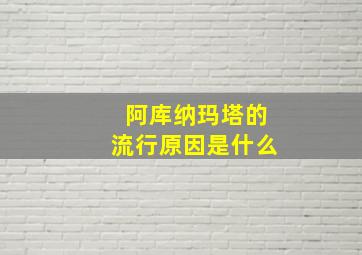 阿库纳玛塔的流行原因是什么