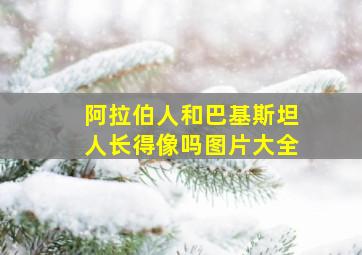 阿拉伯人和巴基斯坦人长得像吗图片大全