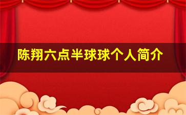 陈翔六点半球球个人简介