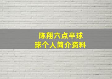 陈翔六点半球球个人简介资料